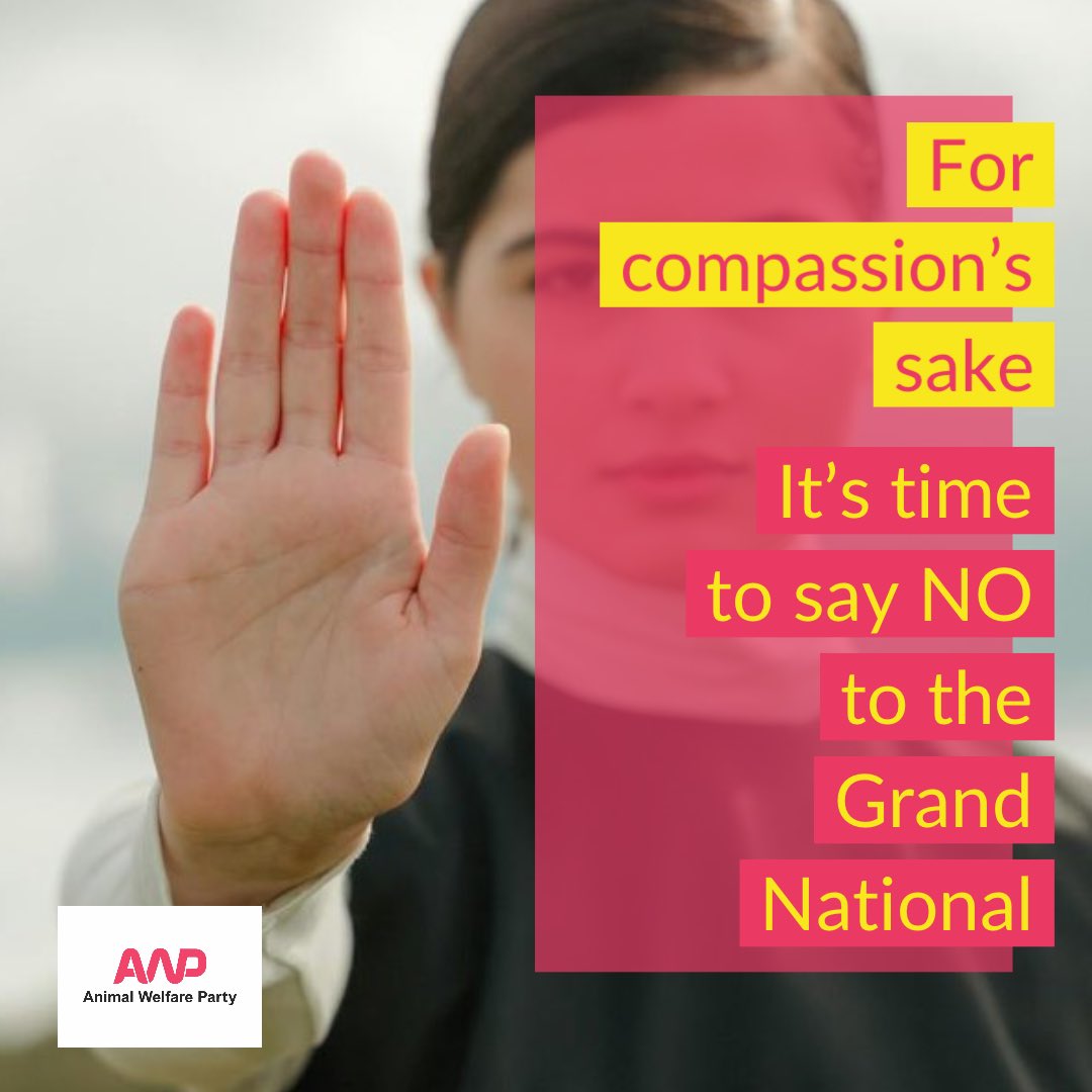 With 66 horses killed since 2000 at the three day #GrandNationalFestival, we say it’s time to end this spectacle of abuse. 

We encourage animal lovers not to participate in this event by betting or viewing. 🧵

#grandnational2025