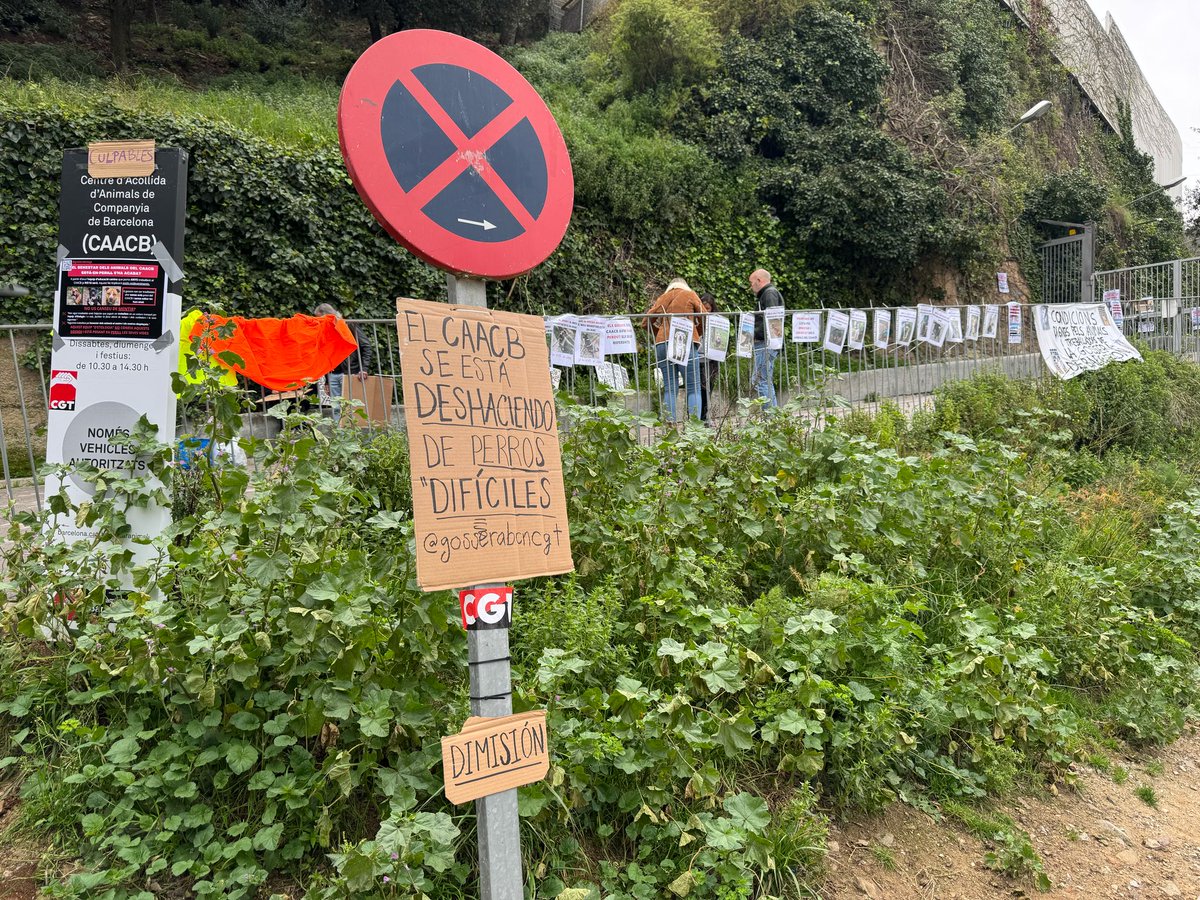 LesAltresVeus's tweet photo. Protesta davant la gossera de Barcelona per denunciar l'acomiadament de treballadors del CAACB que van alçar la veu contra la precarietat laboral i la manca de benestar animal. #CAACB #DretsLaborals #BenestarAnimal https://t.co/SIpoMPEFuV