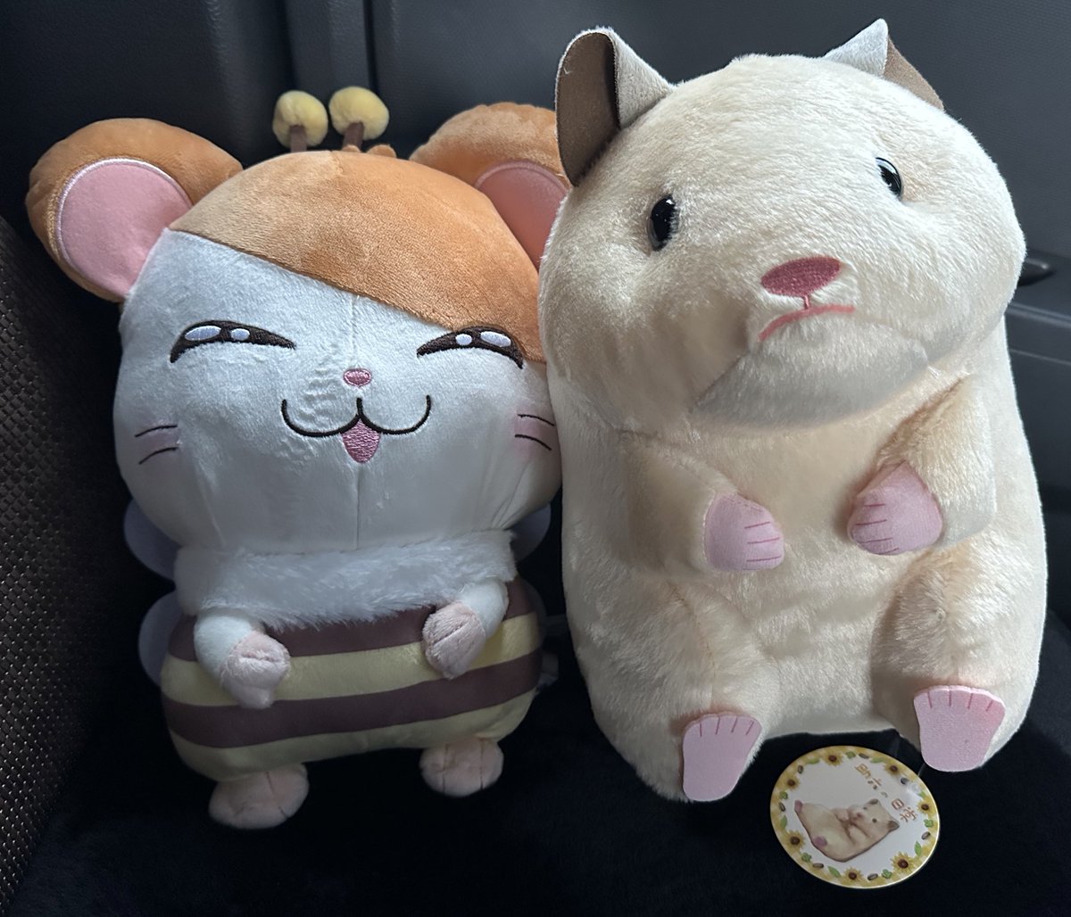 ～本日の収穫～
ハム太郎🐹
でかトゥンチュン🐹(ちょっとブス)