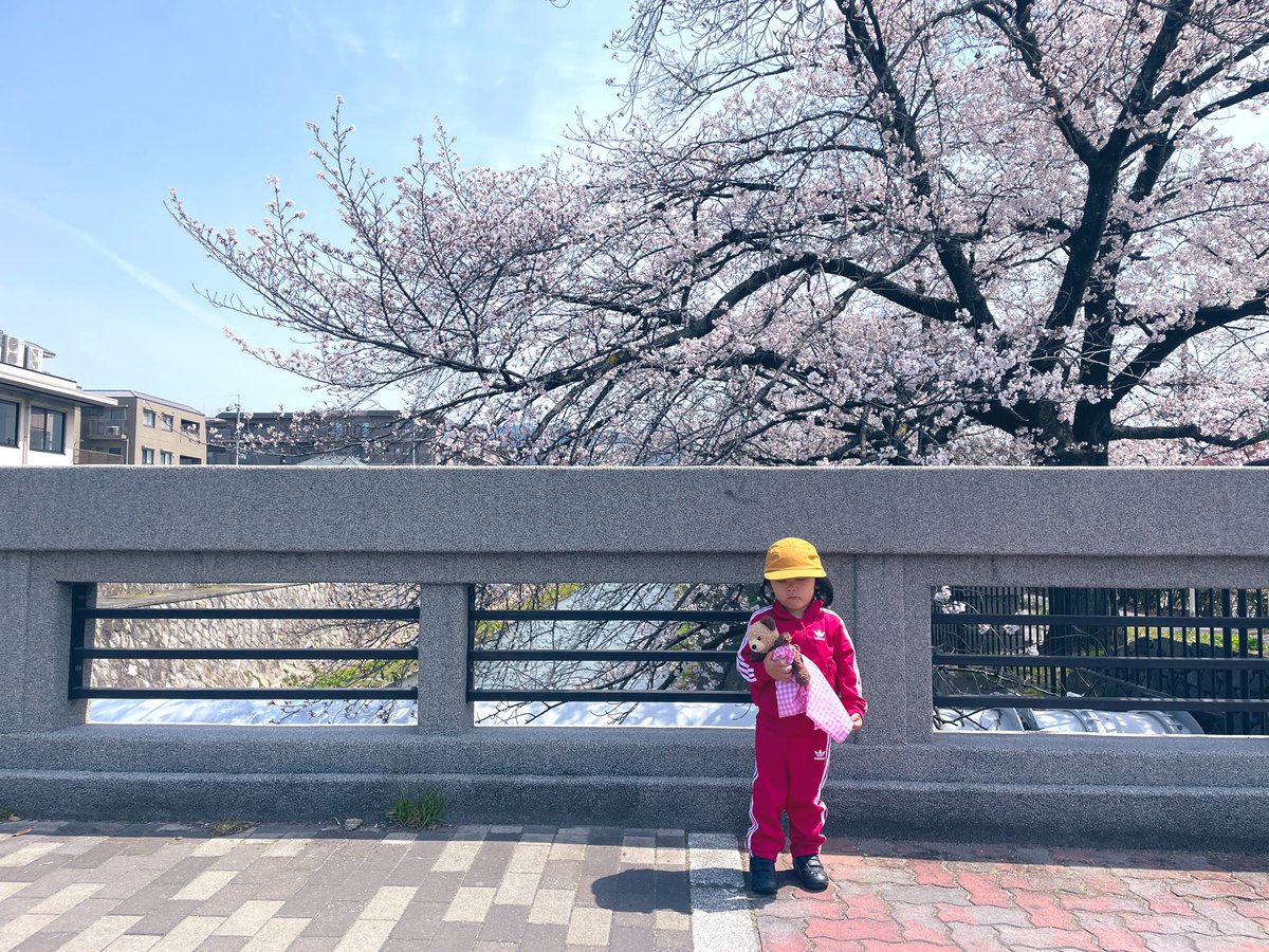 feros84's tweet photo. #川端冷泉
今年も1番好きな桜みれた https://t.co/6hfTzttSUo