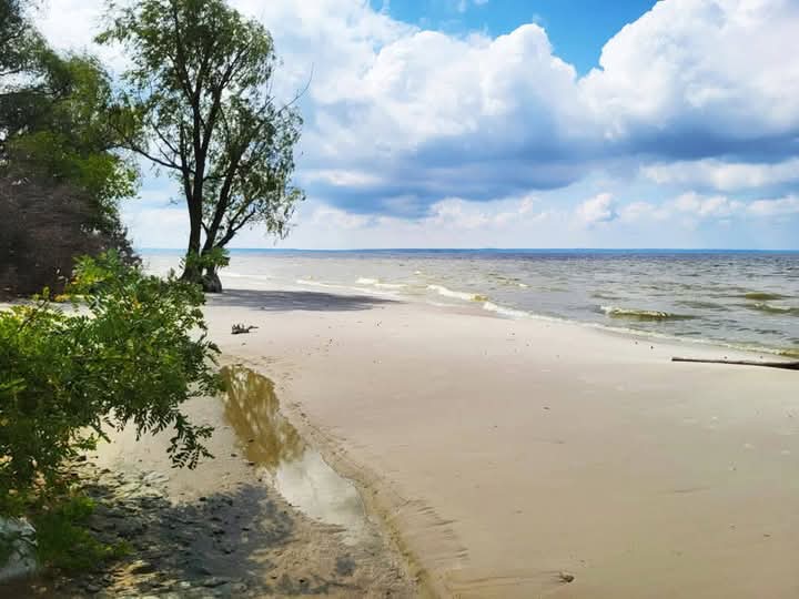 Пороблено tweet media