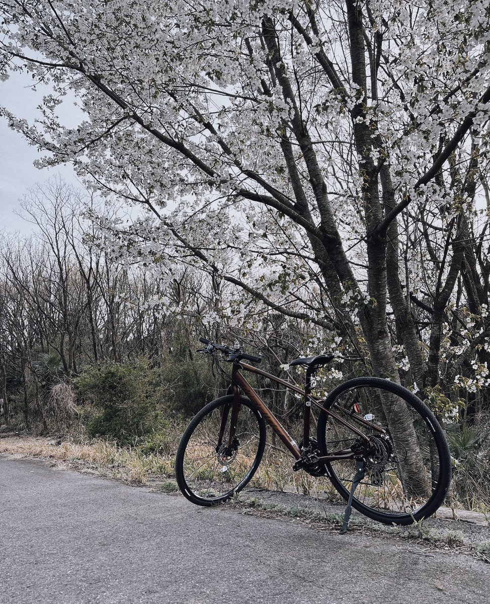 cubcubcub28's tweet photo. 納車
#メリダ
#300D https://t.co/16Wykj5oIq