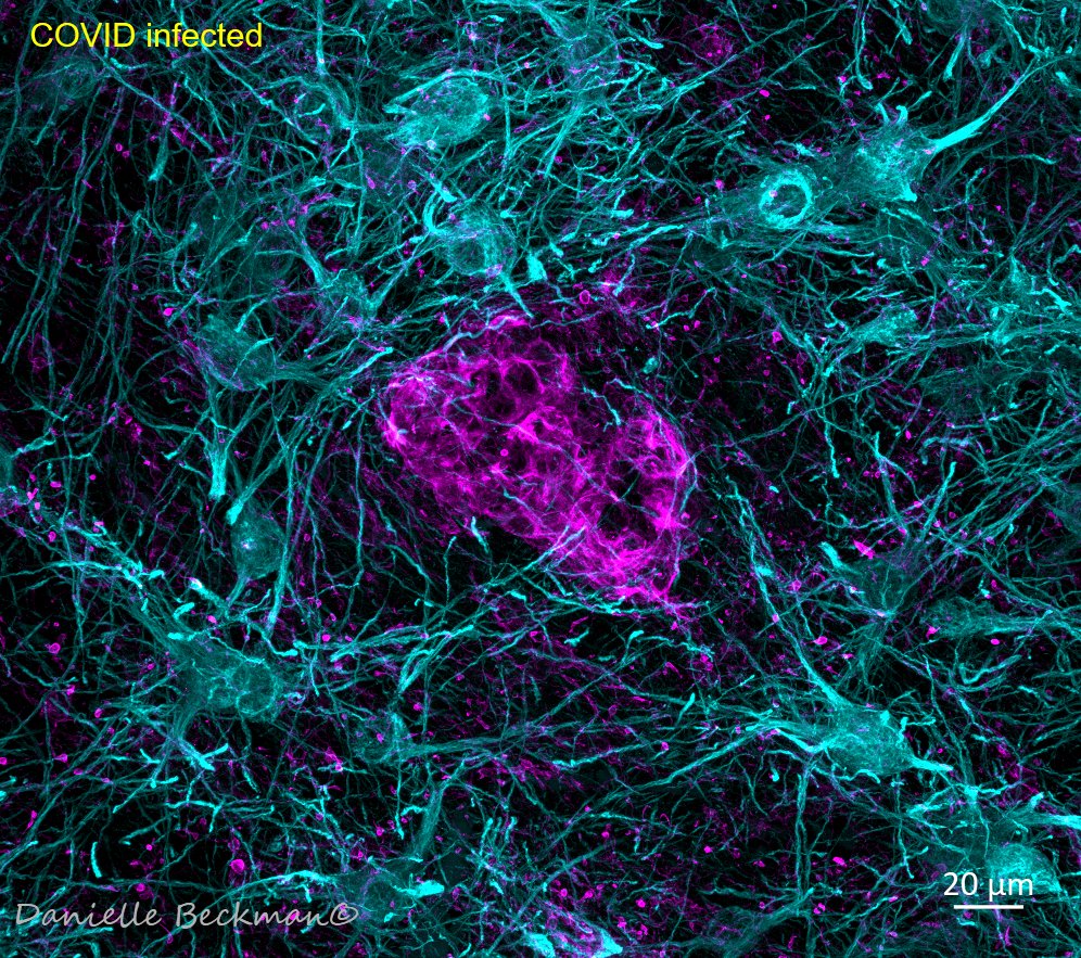 Håkan Save Hansson 🇸🇪 🇺🇦 tweet media