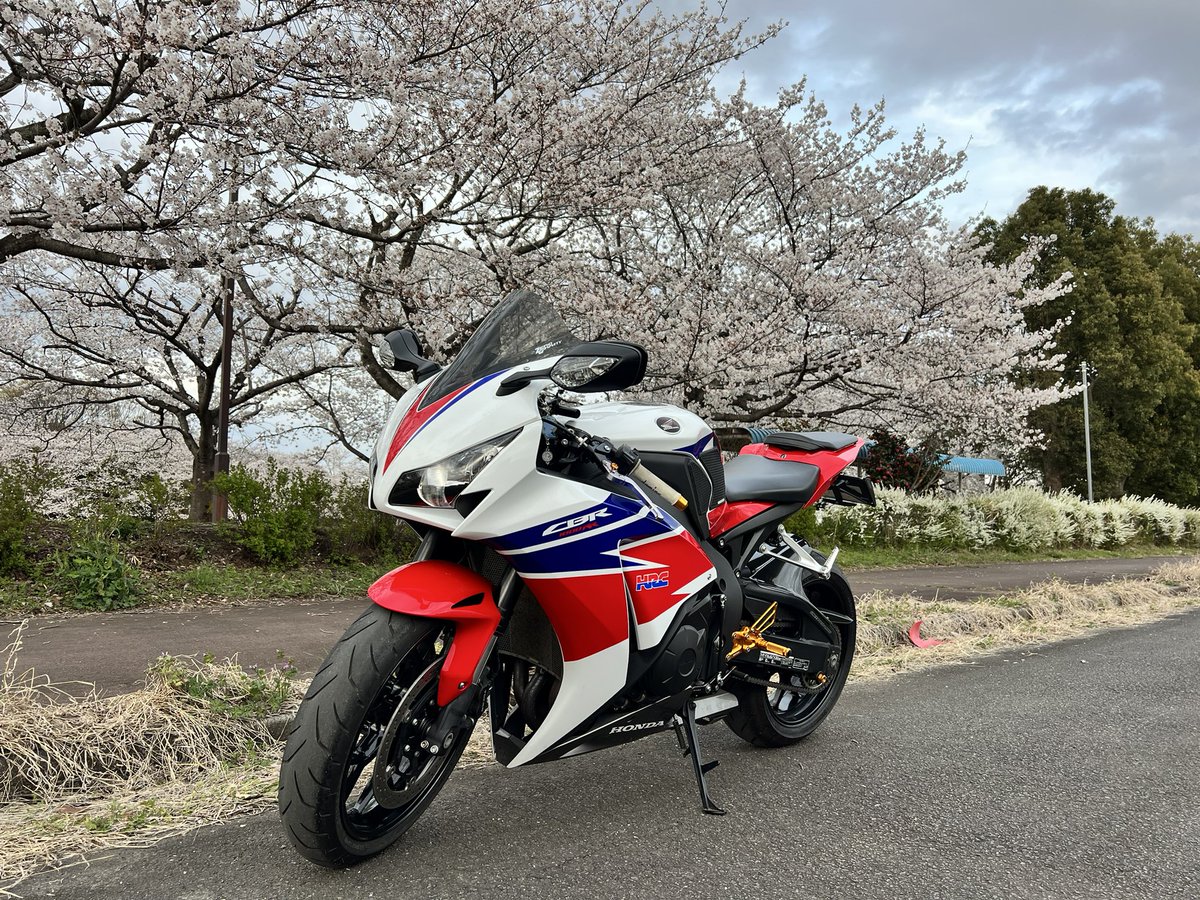 oc04_sk's tweet photo. 名前：あいしぃ
性別：男
身長：170
住み：埼玉
車種：ホンダCBR1000RR SC59
好き：バイク🏍️、遊戯王、カフェ☕️、蕎麦
一言：まだ免許取り立てで未熟物ですがよろしくお願いします🙇

#バイク好きと繋がりたい
#バイク乗りと繋がりたい
#遊戯王好きと繋がりたい https://t.co/BEDxsqTVti
