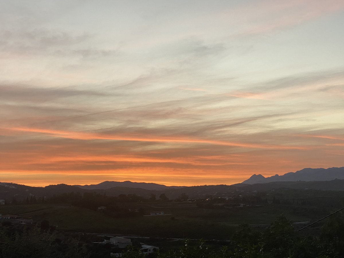 Fraser Chisholm tweet media