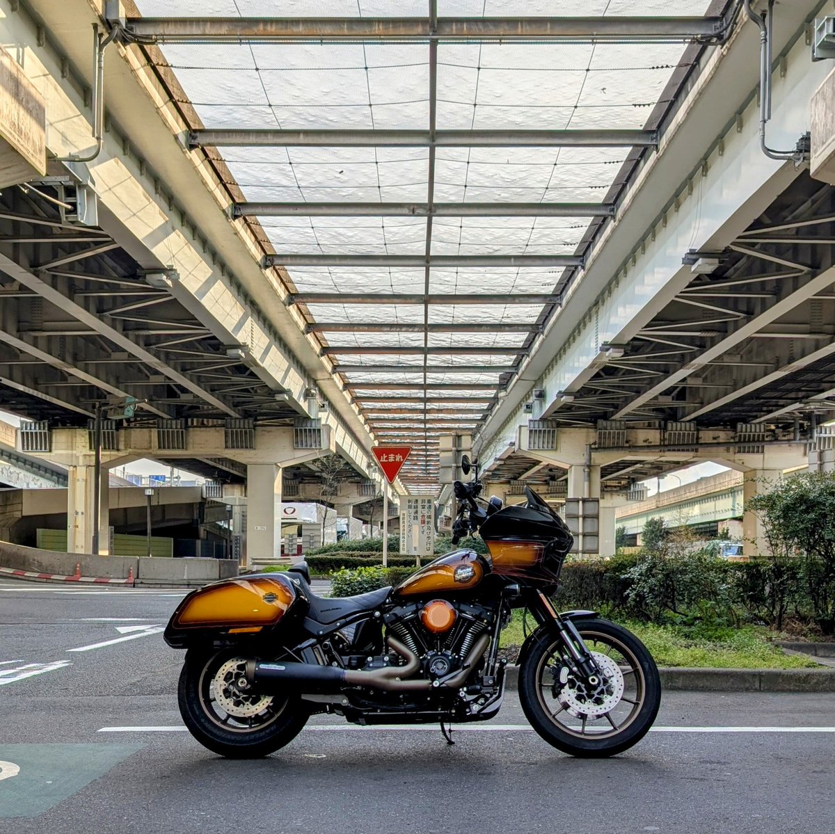 gosurf_rc350's tweet photo. KK線走り納め&首都高ツーリング🏍️🌇このポジ良い🤤
#HarleyDavidson #EnthusiastCollection #FXLRST #LowRiderST #ローライダーST #TobaccoFade #タバコフェード #Glanz #KRAUS #TANAX #Oberon #CustomDynamics #BUNGKING #HPi #JekillandHyde #TMan #Saddlemen #KIJIMA #Pixel9Pro #市川PA https://t.co/VMLZA9v1ix