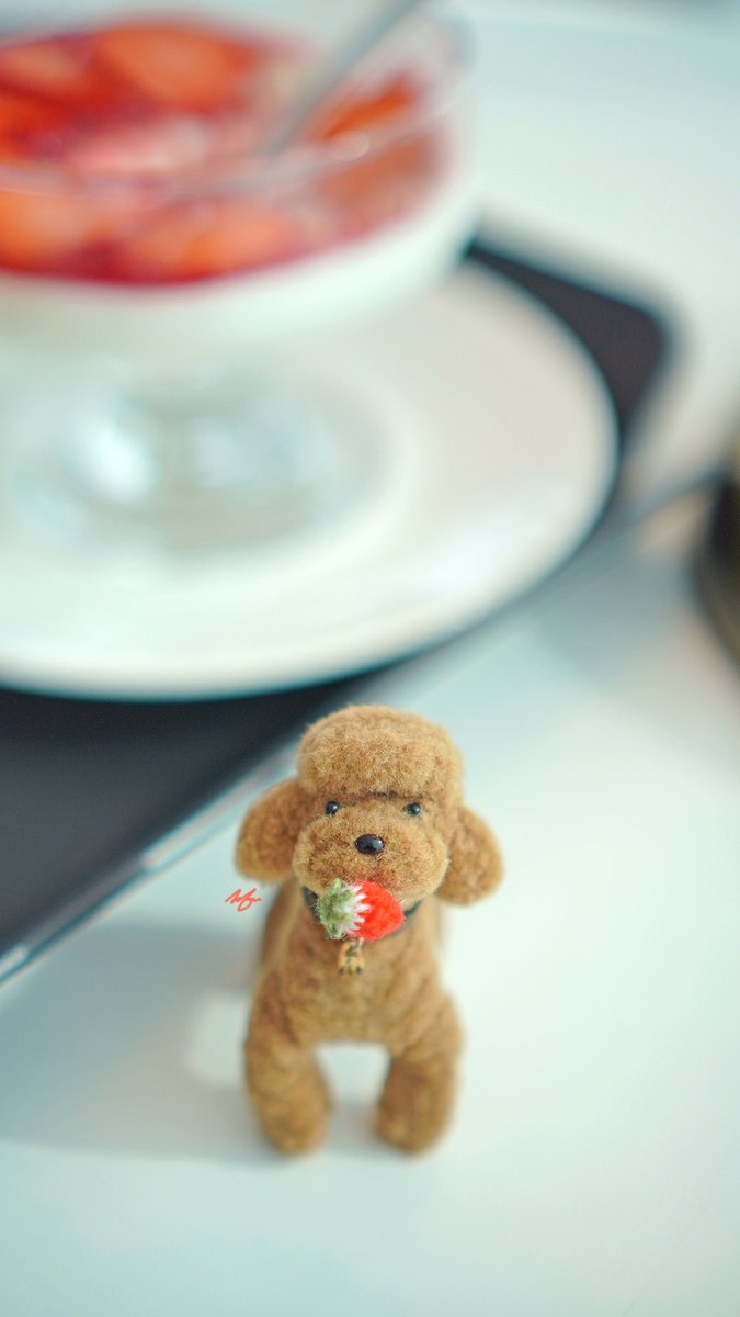 🤍🍓🍮🫳🏻🐶