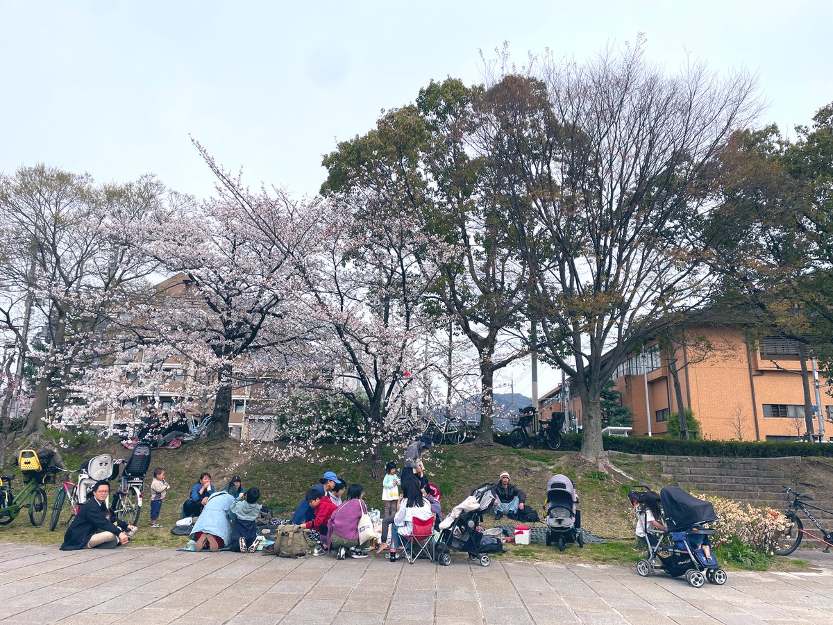 feros84's tweet photo. で、鴨川で花見 https://t.co/ducozsF7Hl