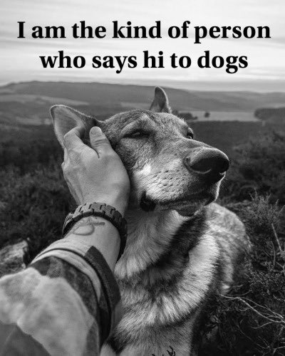 Do you say hi to dogs?  😎🐶