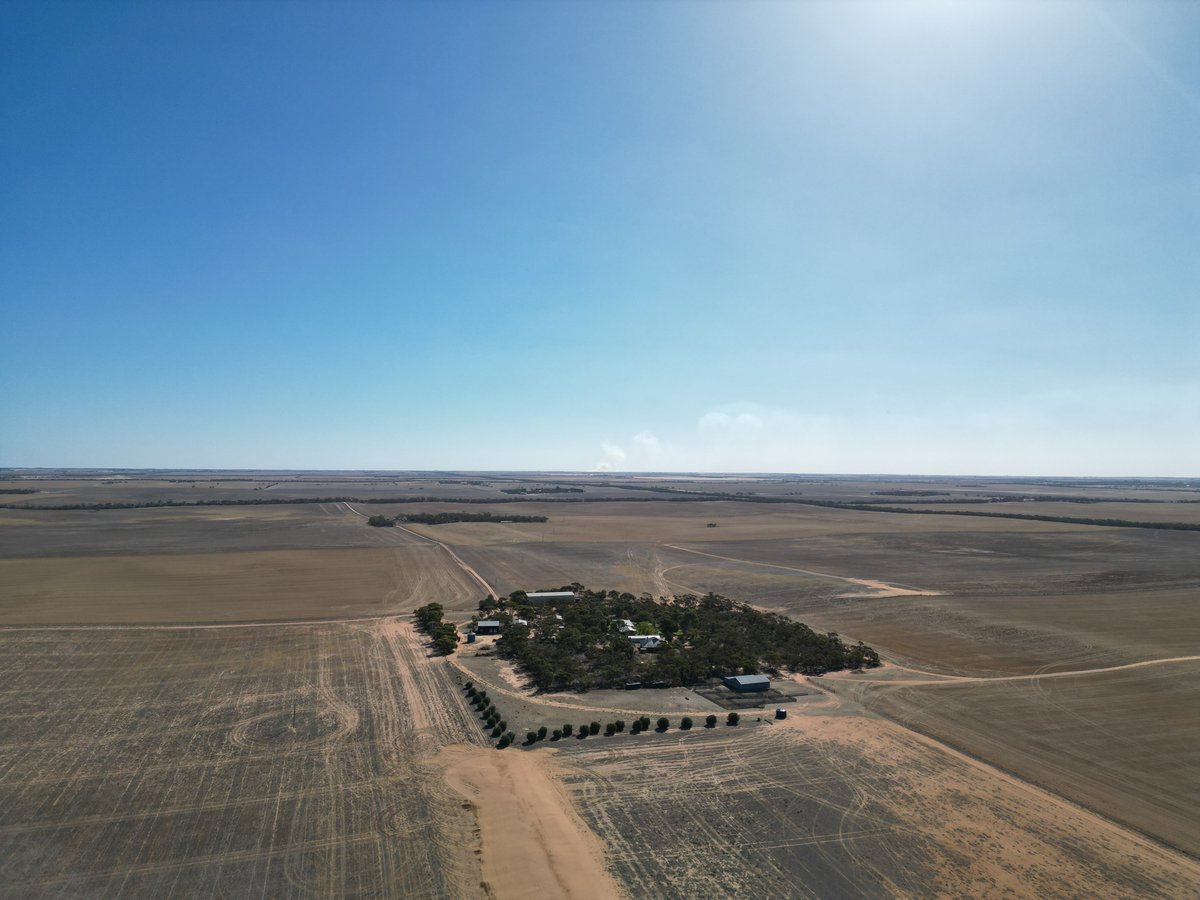 MalleeWeather's tweet photo. Drone photos showing just how dry it is In the Mallee south of Murrayville (Photos by NevilleColleen Heintze) https://t.co/Dtd2e0QKpC