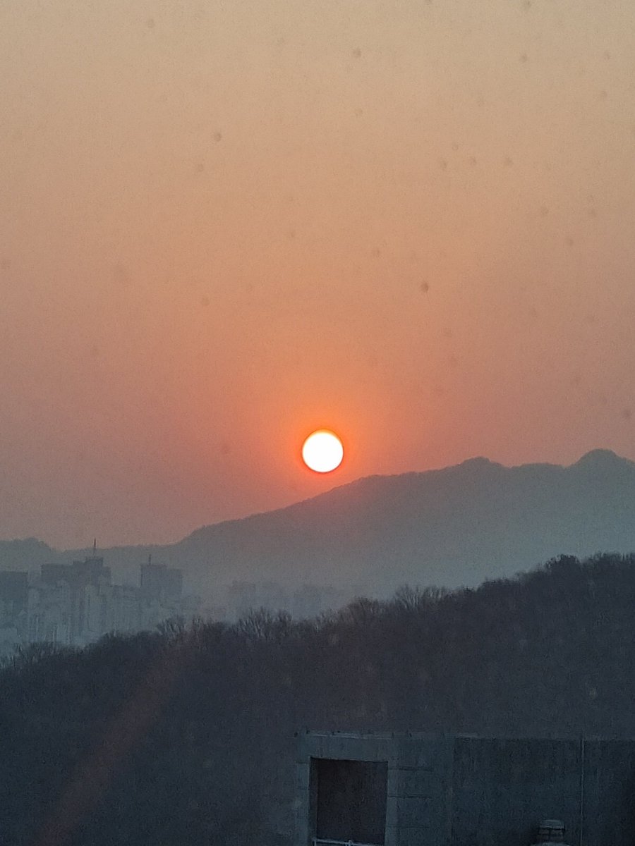 연중행사 tweet media