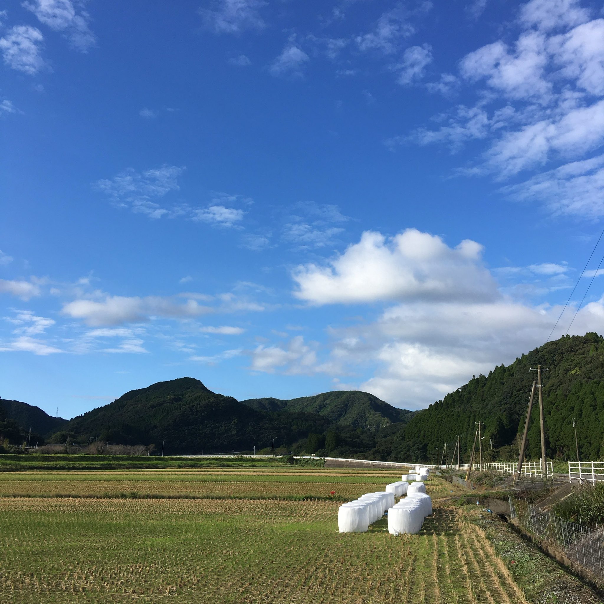 ギャップに萌えろ