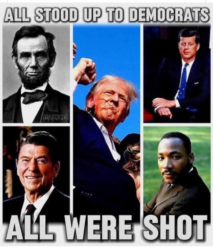 🇺🇸 Oh Hey It's Me ❤🤍💙 (@brown_eyed_gal1) on Twitter photo 