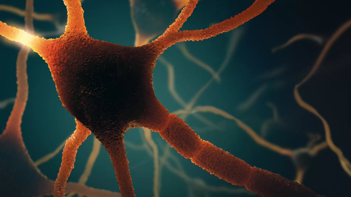 New Research: Parietal alpha and theta power predict cognitive training gains in middle-aged adults frontiersin.org/articles/10.33… #FrontiersIn #AgingNeuroscience