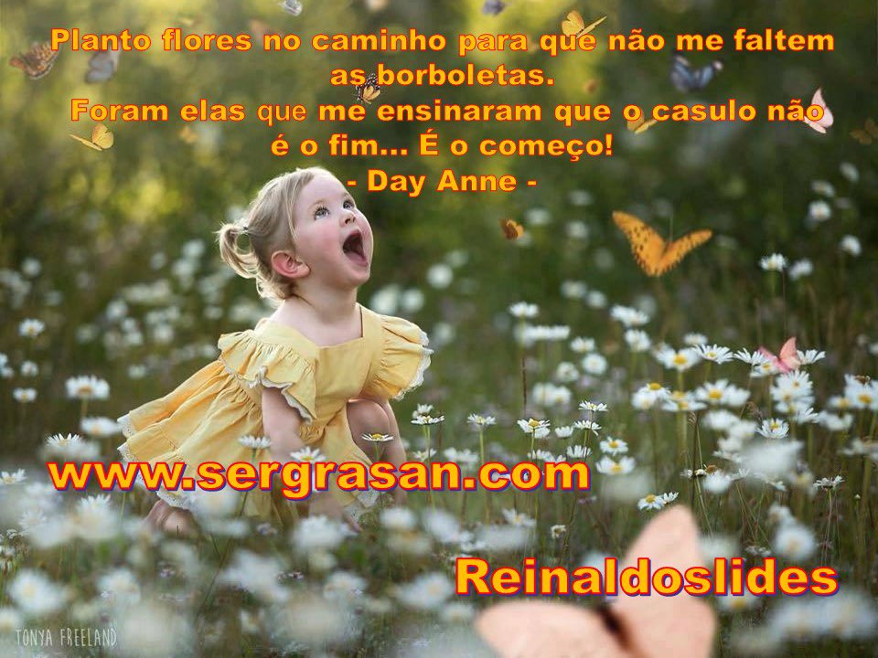 sergiogsantoro's tweet photo. Planto flores no caminho… #poesia , arte e entretenimento https://t.co/WqoAnzSrL9 https://t.co/4gBFi54gP2