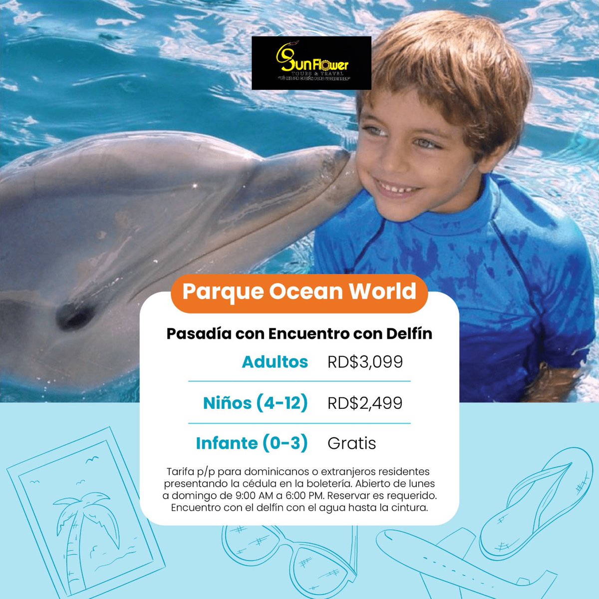 Sunflower Tours🌻 tweet media