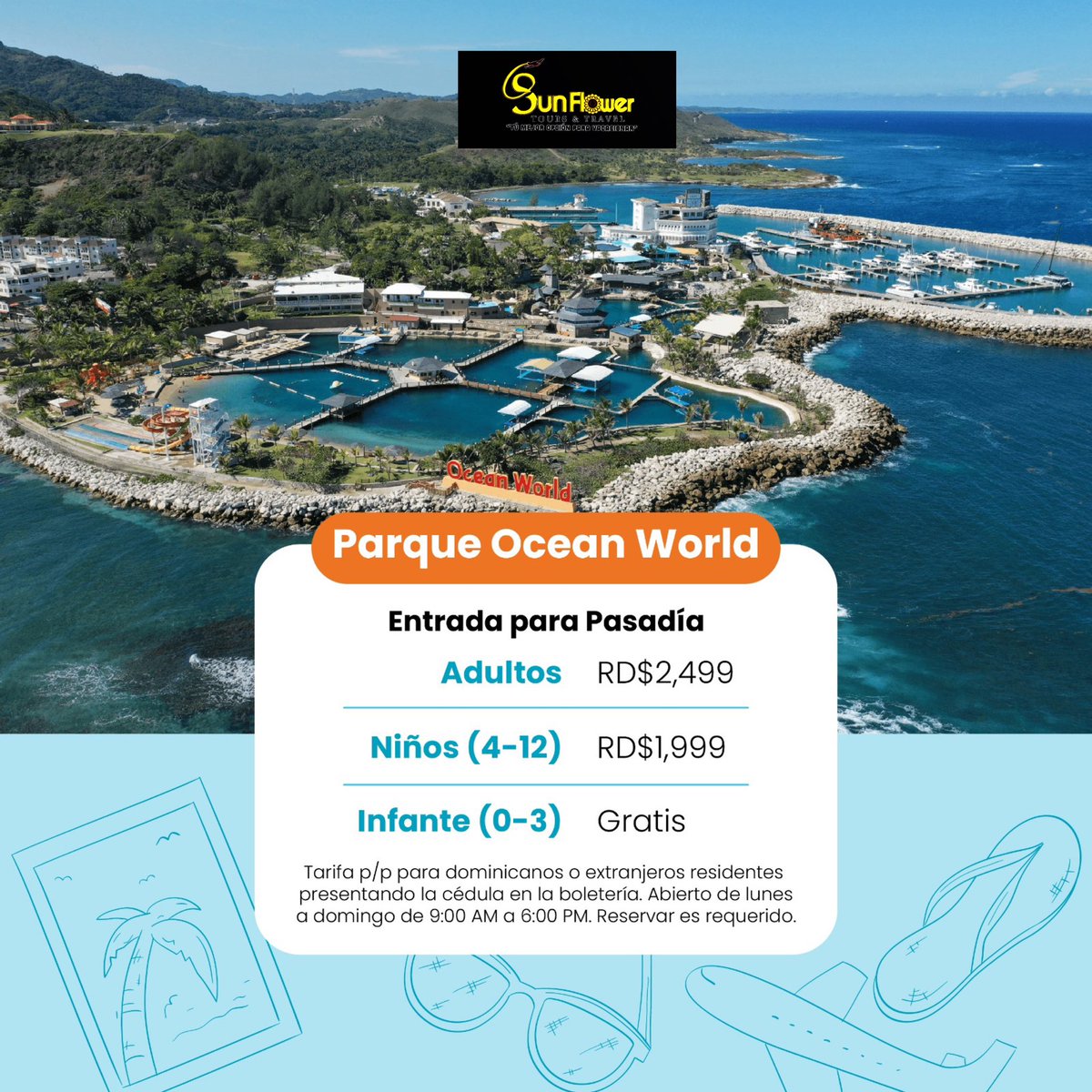 Sunflower Tours🌻 tweet media