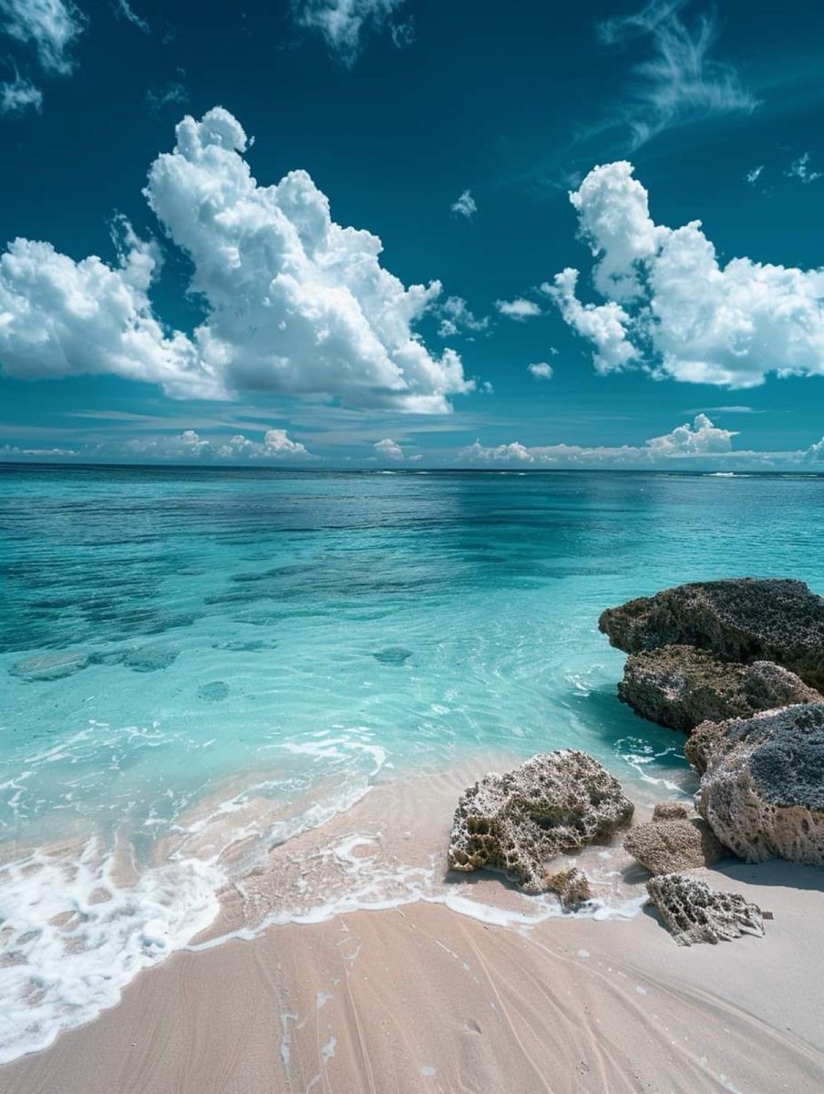 Aesthetics (@aestheticspost_) on Twitter photo 