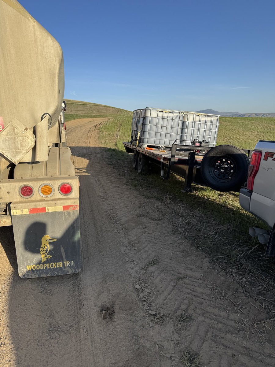 Devin Moon tweet media