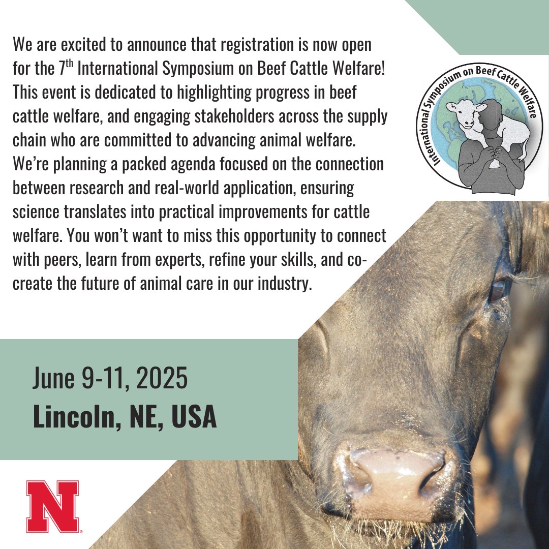 DrWoiwode's tweet image. Registration is now open for the 7th International Symposium on Beef Cattle Welfare! Don't miss this chance to connect with peers, learn from experts, and shape the future of cattle welfare. beefcattlewelfare.org