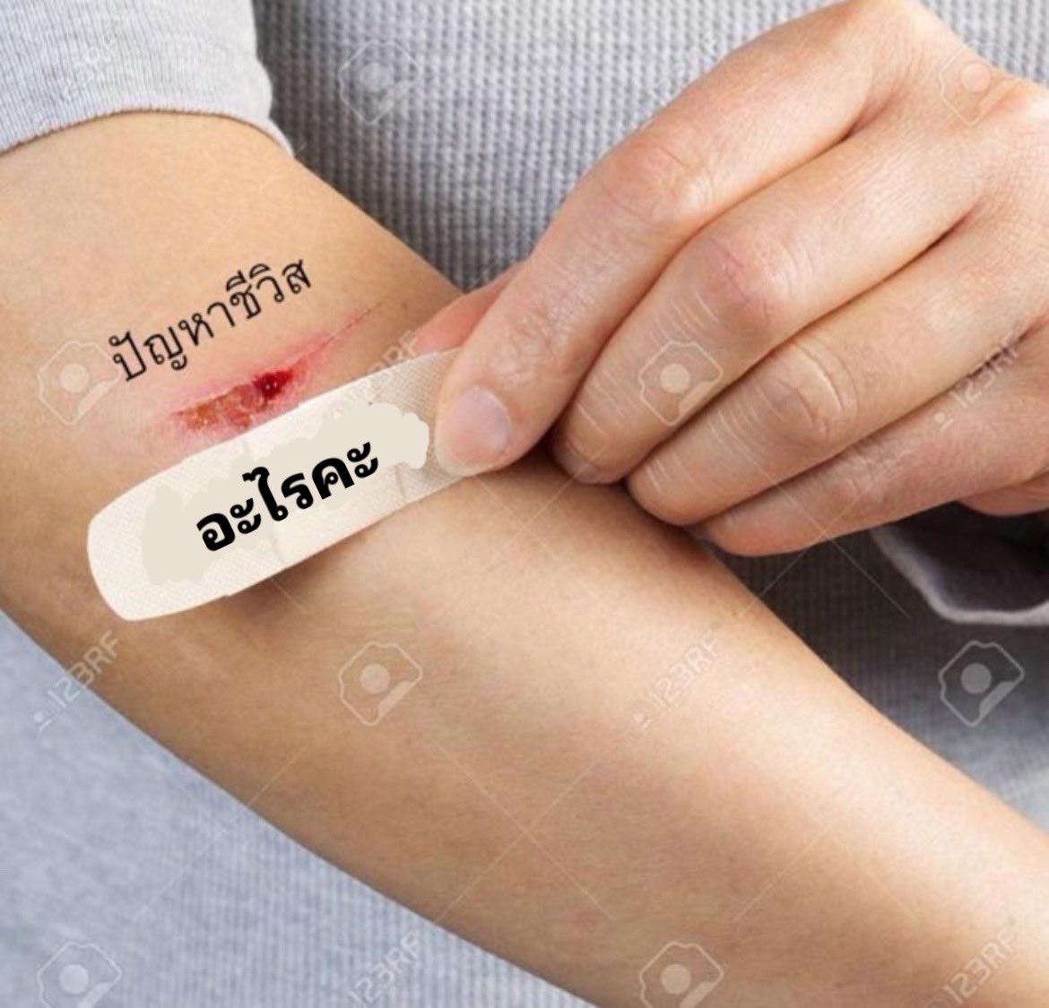อะไรคะ อะไรคะ อะไรคะ อะไรคะ อะไรคะ
อะไรคะ อะไรคะ อะไรคะ อะไรคะ อะไรคะ
อะไรคะ อะไรคะ อะไรคะ อะไรคะ อะไรคะ  
อะไรคะ อะไรคะ อะไรคะ อะไรคะ อะไรคะ
อะไรคะ อะไรคะ อะไรคะ อะไรคะ อะไรคะ
อะไรคะ อะไรคะ อะไรคะ อะไรคะ อะไรคะ
อะไรคะ อะไรคะ อะไรคะ อะไรคะ อะไรคะ
อะไรคะ อะไรคะ อะไรคะ อะไรคะ