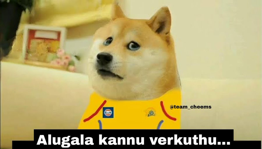 ssv__remo's tweet photo. Epdi thaan intha csk team kulaam fan ah irukaangalo 🤧

#RIPCSK 

#CSKvsDC #IPL2025 https://t.co/TmfqbCXgO7