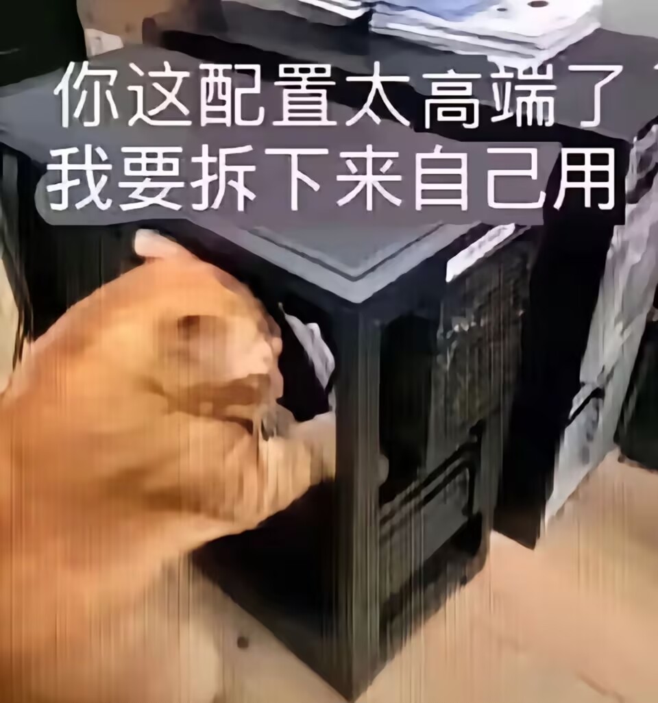 这个月和电脑单恋