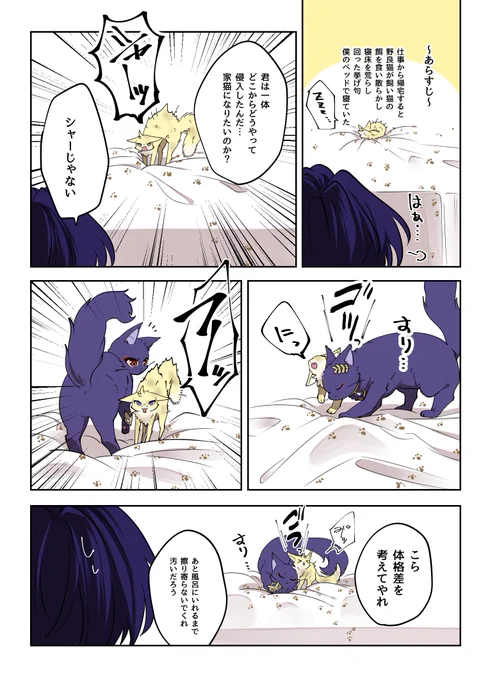 レイシオとチビネコの邂逅 