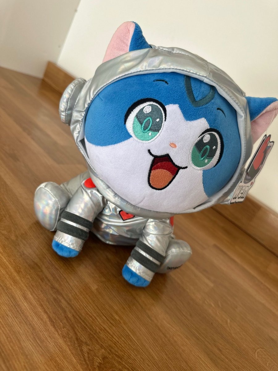 GM 🐱