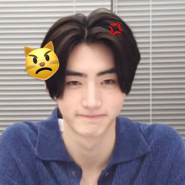 iceanddeer🦌❄ (@iceanddeer) on Twitter photo 