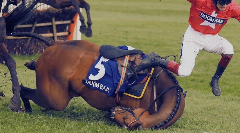 To everyone attending, watching &amp; betting on the Grand National... 
66 horses have suffered &amp; died since 2000 for the sake of your "entertainment". FUCK YOU ALL. You have blood on your hands. And I hope you lose your money.
#grandnational2025 #YouBetTheyDie #Horses #AnimalCruelty