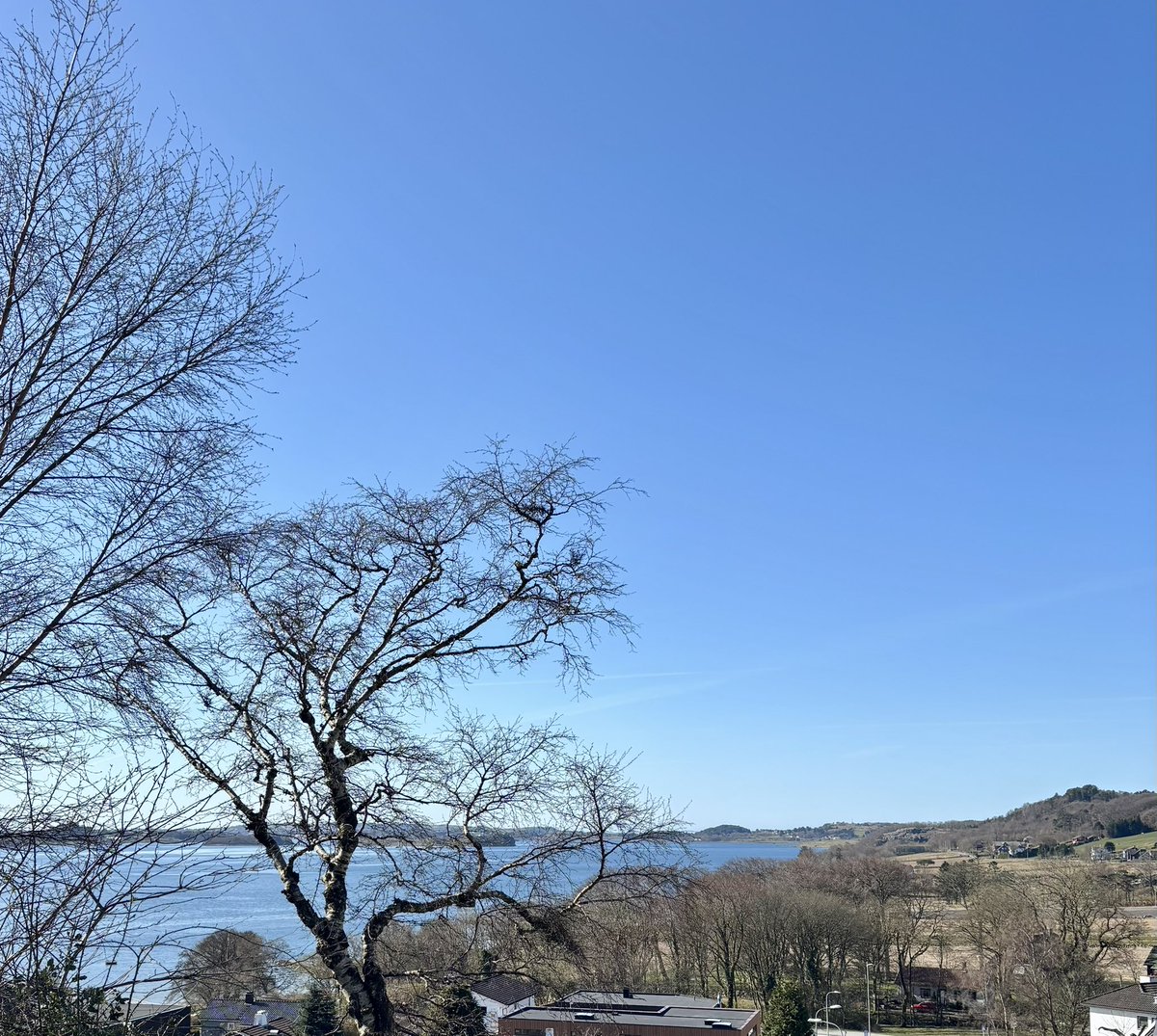 Første skikkelige dag i hagen for i år