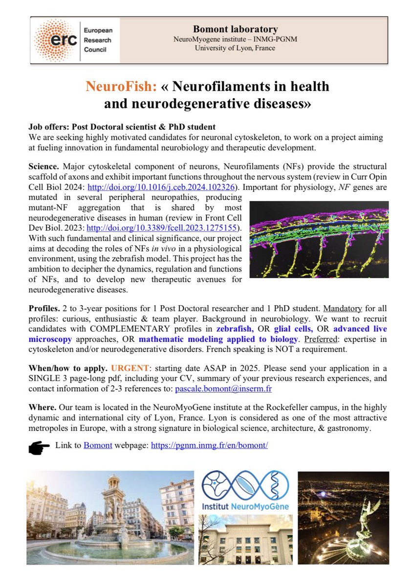 Bomont Pascale (@pascalebomont) on Twitter photo Job Alert PhD & Post Doc 👇 ERC-funded project on Neurobiology #cytoskeleton : complementary background (glial cells, optic, mathematic) welcome!! <a href="/ConnectingIFs/">Connecting Intermediate Filaments Seminars</a> <a href="/ERC_Research/">European Research Council (ERC)</a> <a href="/jobRxiv/">jobRxiv</a> <a href="/ZebrafishRock/">Zebrafish Rock!</a> <a href="/eu_fish/">EZS European Zebrafish Society</a> Job Alert PhD & Post Doc 👇 ERC-funded project on Neurobiology #cytoskeleton : complementary background (glial cells, optic, mathematic) welcome!! <a href="/ConnectingIFs/">Connecting Intermediate Filaments Seminars</a> <a href="/ERC_Research/">European Research Council (ERC)</a> <a href="/jobRxiv/">jobRxiv</a> <a href="/ZebrafishRock/">Zebrafish Rock!</a> <a href="/eu_fish/">EZS European Zebrafish Society</a>