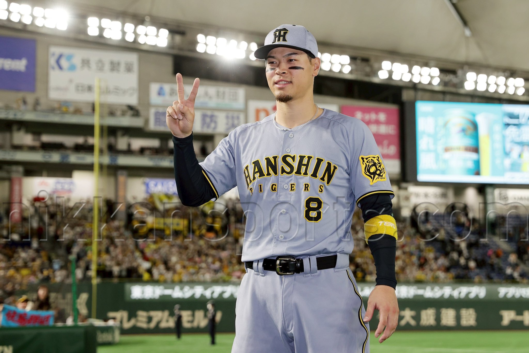 極トラ・プレミアム(日刊スポーツ) on X: 極トラ・プレミアム(日刊スポーツ) on X: