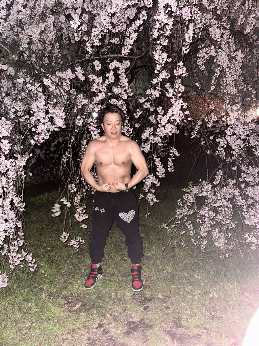 何をやってるんだ俺は 