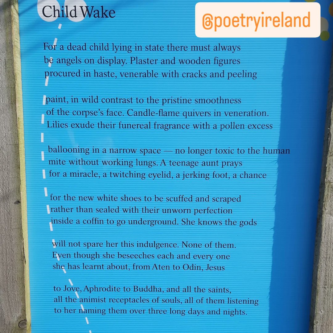 HowlWriting's tweet image. Patrick Cotter's beautiful poem, 'Child Wake', as seen in Marina Park, Cork. Huge thanks to @poetryireland for supporting us with this project. Much gratitude to @corkcitylibrary and @creativeirl 🩶