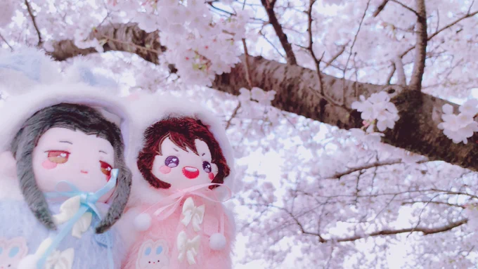 今日もお花見した! 
