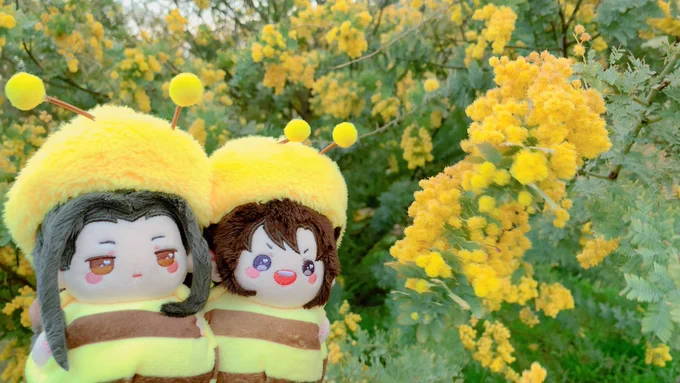 今日もお花見した! 