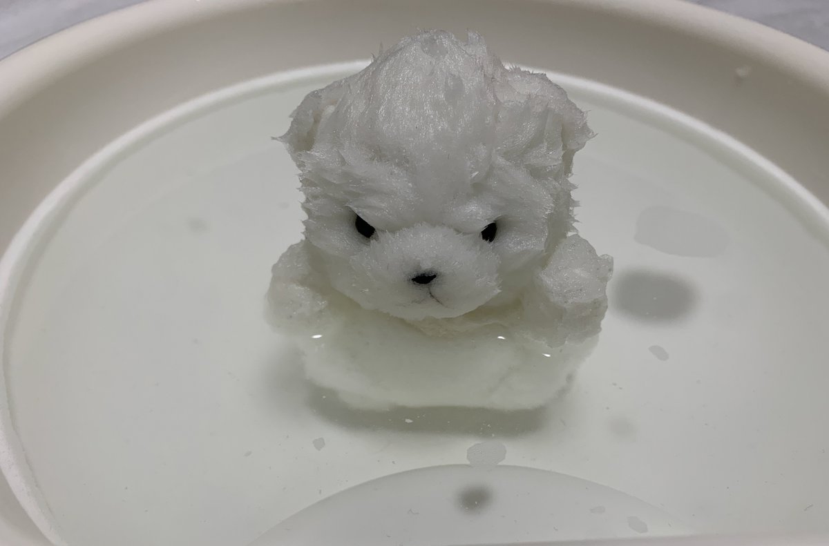 ぼん🎈 tweet media