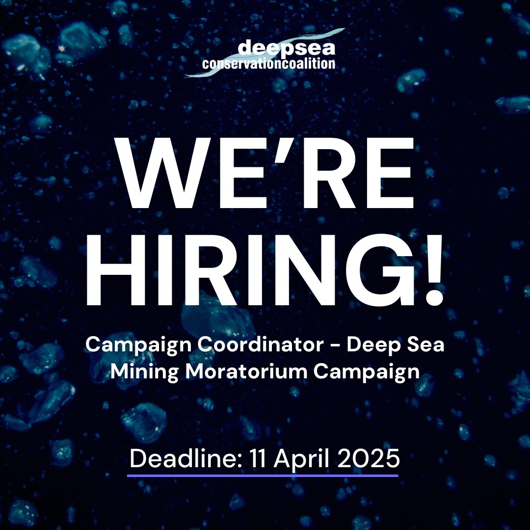 📢 WE'RE HIRING! We are looking for a campaign coordinator to work in a close-knit team with a global network of colleagues, advancing the #DeepSeaMining moratorium campaign.

📅 Apply by April 11, 2025
➡️ deep-sea-conservation.org/job-opportunit…