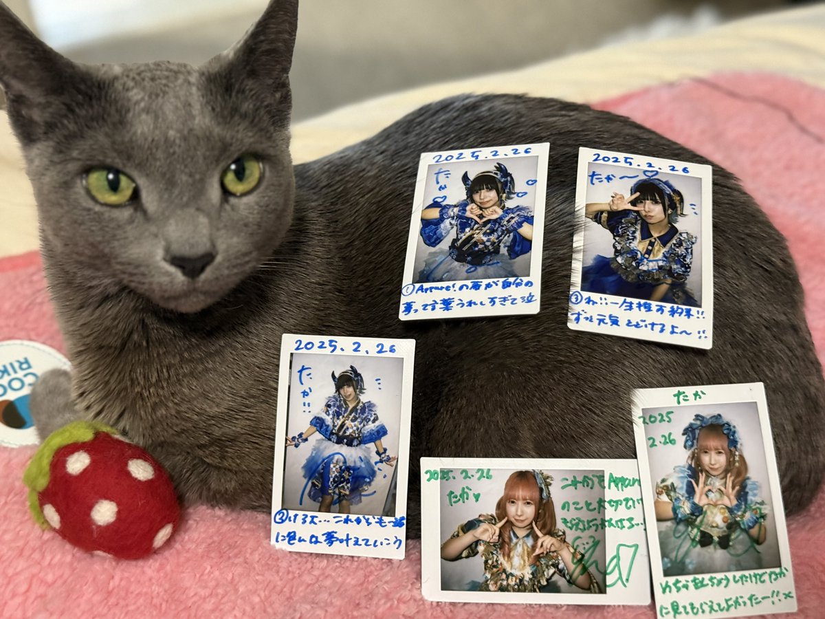 ネトサ到着💙💚

メッセージ嬉しい☺️

推しにも伝えたけど
おじさんなので
夢も希望もありません😹

なので色々と困難もあるけど
夢を叶えて行く
彼女達を見守るのが何より楽しい😀

それにしても新衣装はカワイイ😍
そして娘もカワイイ😻

#Appare
#お〜いあおいすず
#ゆめちゃんに夢中
#猫ちぇき