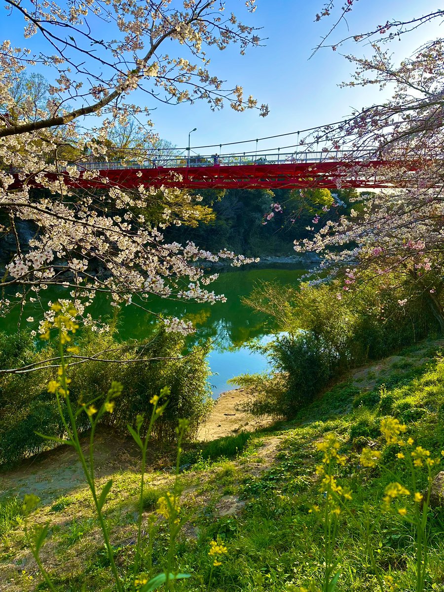 シェリー (@PSdceZuWHh6SPjj) / Posts / X