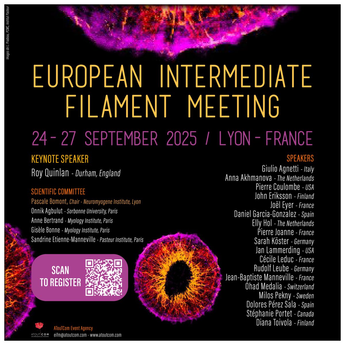 Bomont Pascale (@pascalebomont) on Twitter photo MEETING! It is NOW ! We are happy to open registration/website for the "Euro-IF 2025" meeting in Lyon/France. Thxs <a href="/BonneGisele/">Gisele Bonne</a> <a href="/etiennemannevil/">Etienne-Manneville Lab</a> A. Bertrand O. Agbulut & <a href="/atoutcomagency/">Agence ATouT.Com</a>. Please spread the words <a href="/ConnectingIFs/">Connecting Intermediate Filaments Seminars</a> <a href="/ERC_Research/">European Research Council (ERC)</a> #cytoskeleton MEETING! It is NOW ! We are happy to open registration/website for the "Euro-IF 2025" meeting in Lyon/France. Thxs <a href="/BonneGisele/">Gisele Bonne</a> <a href="/etiennemannevil/">Etienne-Manneville Lab</a> A. Bertrand O. Agbulut & <a href="/atoutcomagency/">Agence ATouT.Com</a>. Please spread the words <a href="/ConnectingIFs/">Connecting Intermediate Filaments Seminars</a> <a href="/ERC_Research/">European Research Council (ERC)</a> #cytoskeleton