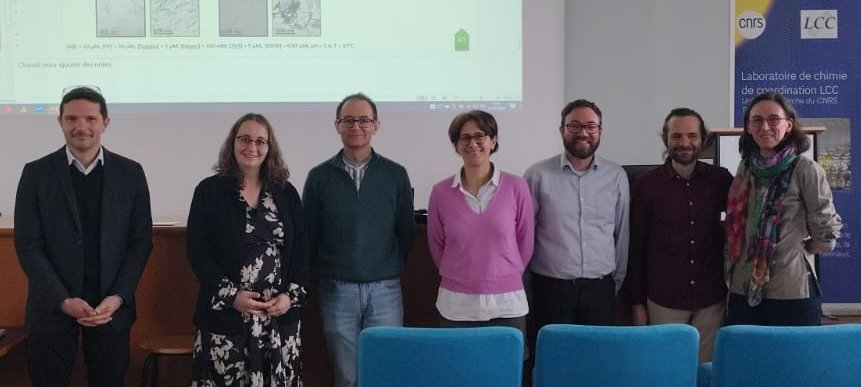 Last week our PhD student Lucie successfully defended her PhD thesis on the co-assembly of amyloid-beta peptides in the presence of biological ions. Congratulations Dr. de Cremoux!