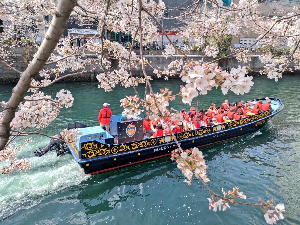 Amazon.co.jp: 茶谷産業(Chatani) 桜の花咲くオブジェ/桜の都