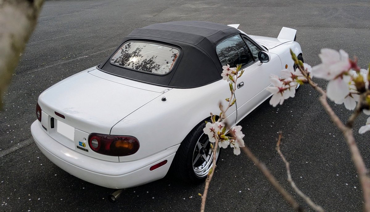 びゅーでぃふぉ🌸𓈒𓏸︎︎︎︎