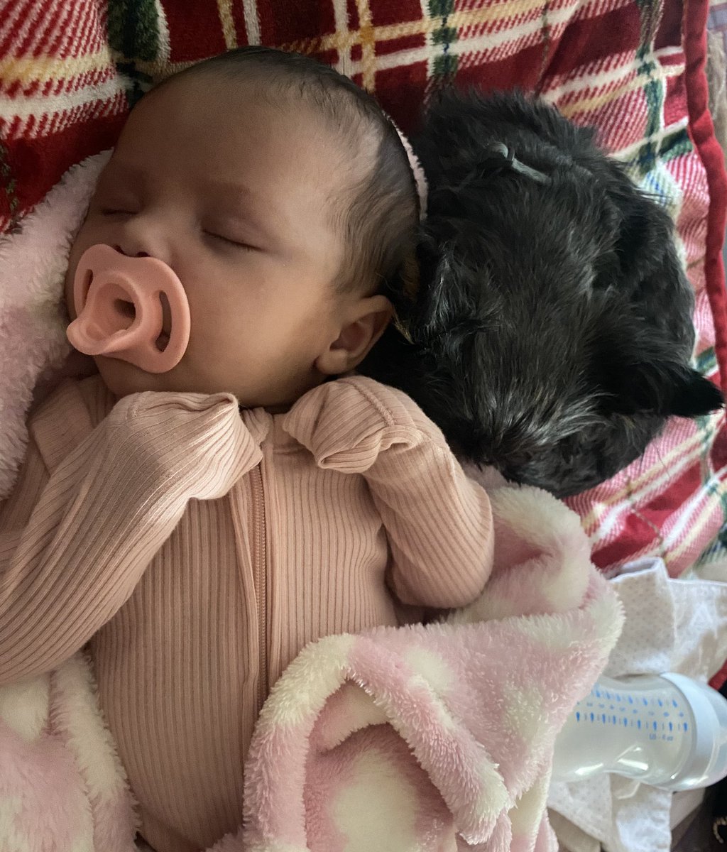 BreaJohnson6's tweet photo. my teeny tiny baby is getting so big 💔 Being a parent is so bittersweet. https://t.co/5E5q1uWrKp