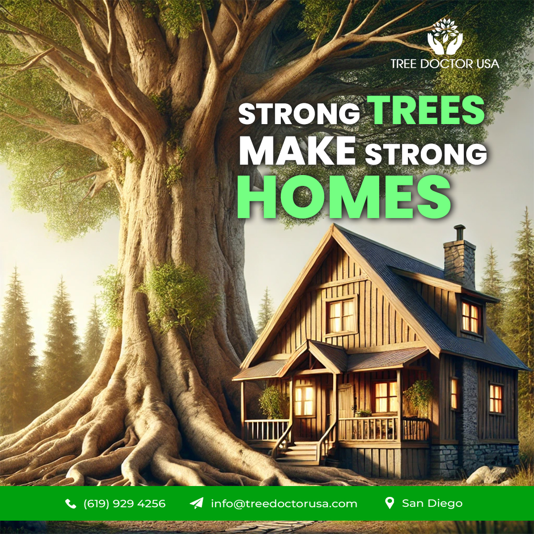 TreeDoctorUSA's tweet image. 🌳 𝐇𝐞𝐚𝐥𝐭𝐡𝐲 𝐓𝐫𝐞𝐞𝐬, 𝐇𝐚𝐩𝐩𝐲 𝐇𝐨𝐦𝐞𝐬! 🏡

When your trees thrive, so does your home.
Let Tree Doctor USA keep your green giants strong and your property safe! 💪🍃

📍Serving San Diego 📞 (619) 929 4256
📧 info@treedoctorusa.com

#TreeDoctorUSA #TreeCareExperts