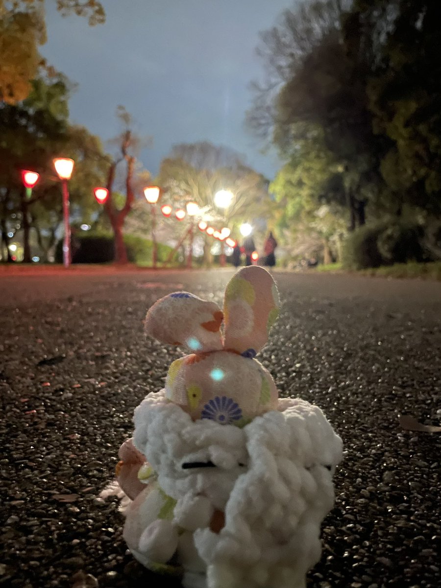 まだちょっと寒いね