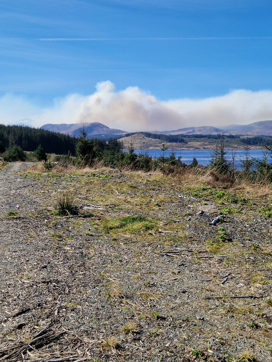 CelticMeg68's tweet photo. Absolute devastation https://t.co/W97cz1slIr